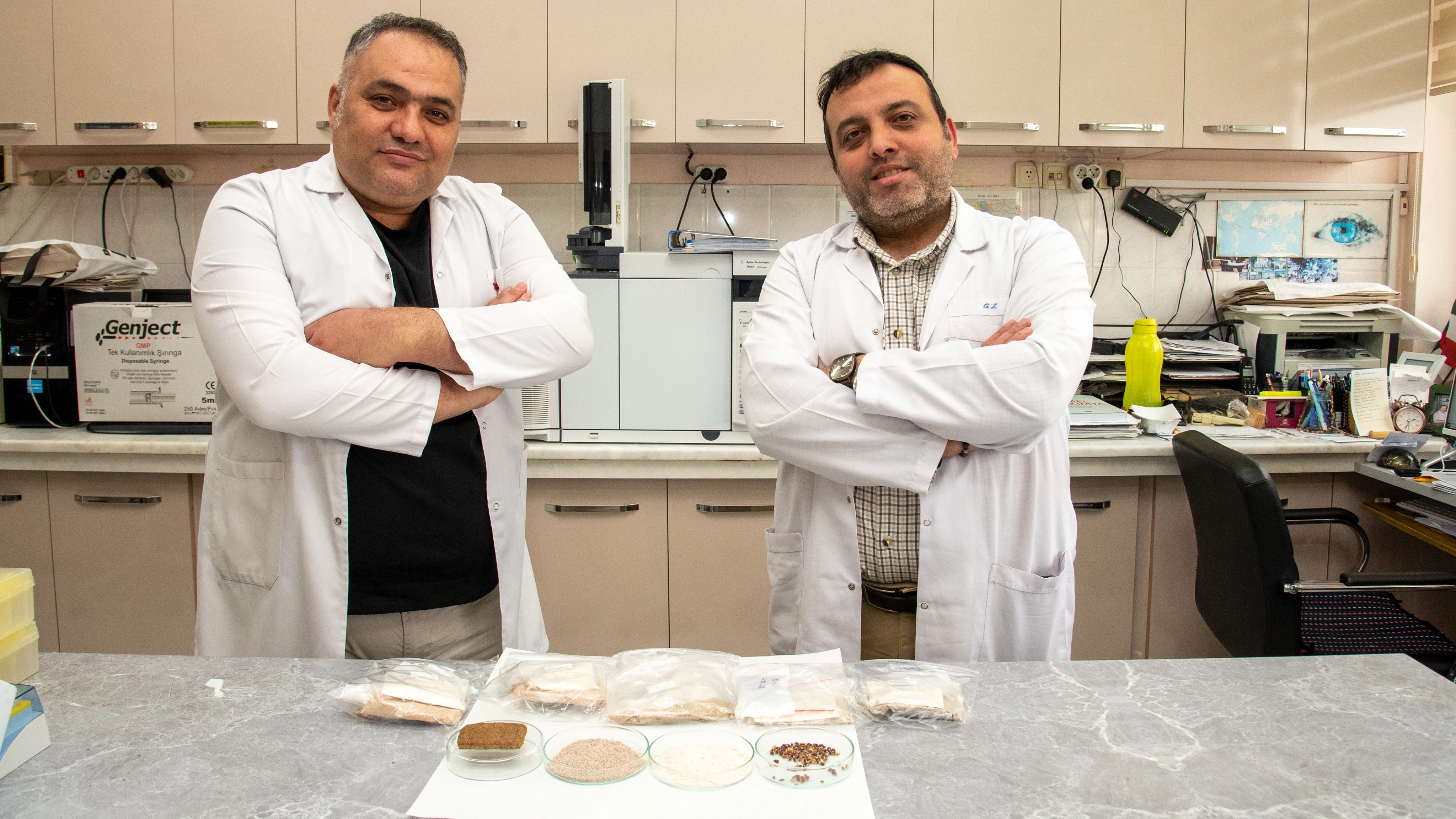 Alzheimer, diyabet ve kansere karşı renkli buğdaylardan bisküvi üretildi